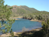 Trees, lake, clear water, clear sky