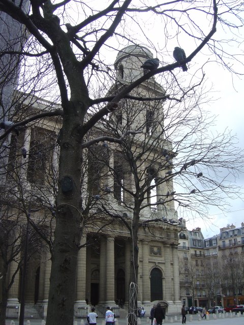 Saint-Sulpice behind trees