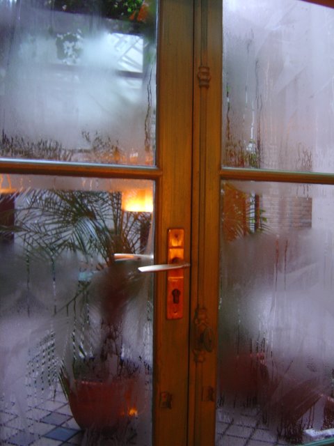 Steam on windows, potted plants outside