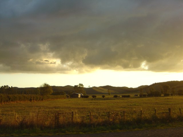 As the sun sets the fields become golden 