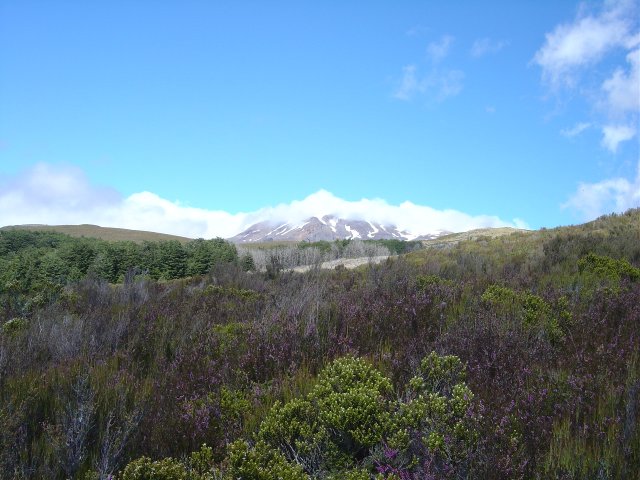 Mount Ruapehu