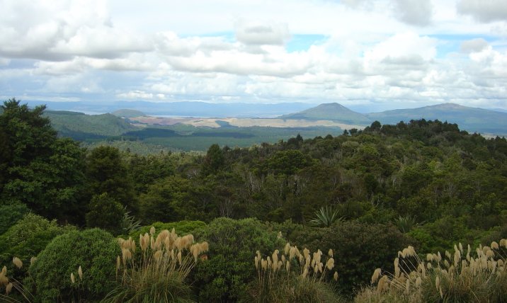 On the road to Taupo