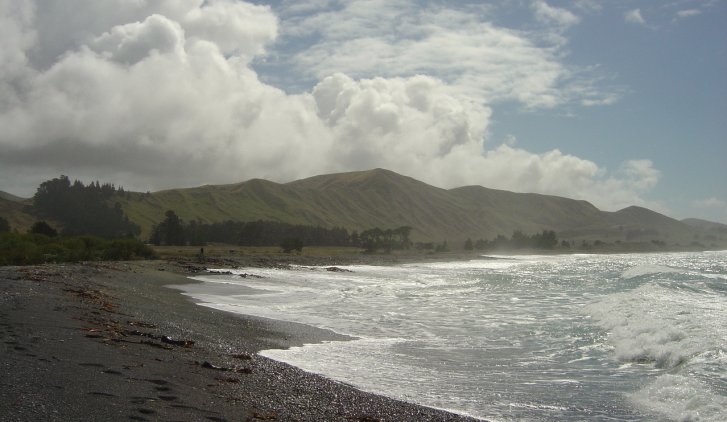 Beach (Pacific ocean)