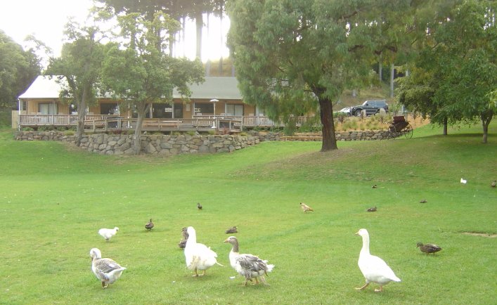 Mount Vernon backpackers at Akaroa