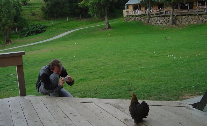 Nico photographying a hen