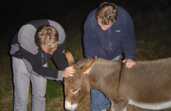 Nico Joel and a donkey