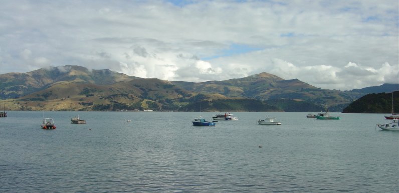 Boats moored in a bay