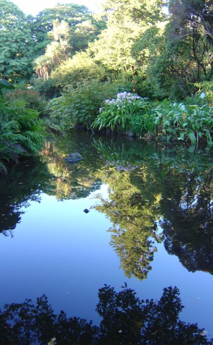 A quiet pond at Christchurch botanical gardens