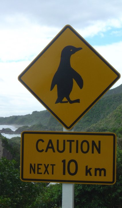 Caution, penguins