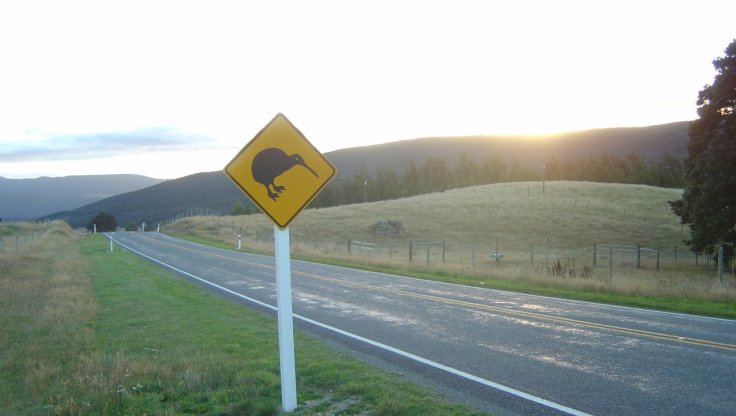 Kiwis? we were sure willing to see them!