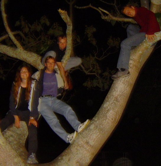 Perched in a tree: Coralie, Nicolas, Nico, Fabrice
