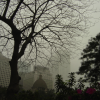 Gloomy afternoon in Hong Kong