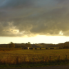 As the sun sets the fields become golden 