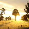 Fabulous sunset
