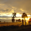 All photographying the sunset