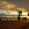 Fabulous sunset