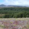 Tongariro National Park landscape