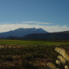 Mount Ruapehu