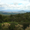 On the road to Taupo