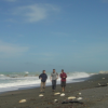 Joel, Nico and Fabrice on the beach
