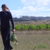 Coralie at the camping spot in the vineyards