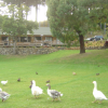 Mount Vernon backpackers at Akaroa