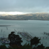Lyttleton bay