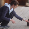 Coralie petting a hen