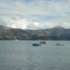 Boats moored in a bay