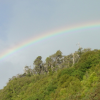 Ha! a rainbow