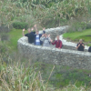 Nico, Joel, Nicolas, Fabrice waving, Pancake rocks at Punakaiki