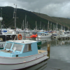 Havelock harbour
