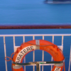On the ferry to Wellington