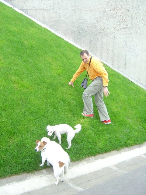 Hugo and dogs