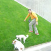 Hugo and dogs at Bercy