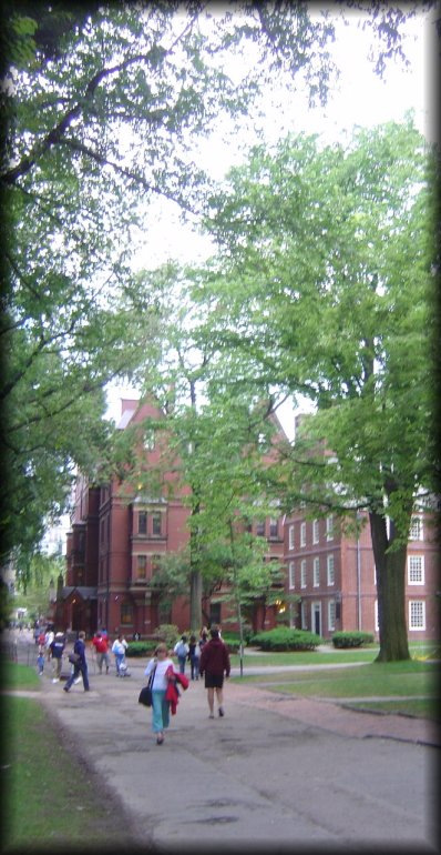 Harvard University campus