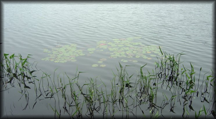 Current or wind troubling the surface of the lake, 