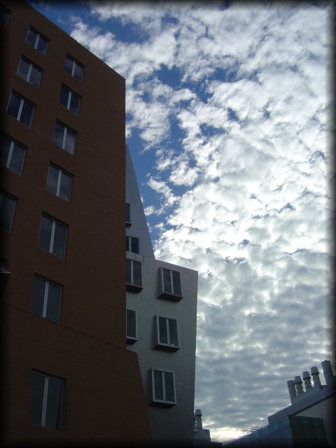 The Stata Center