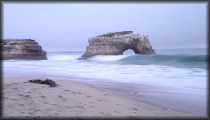 Natural Bridges State Beach, Santa Cruz, CA
