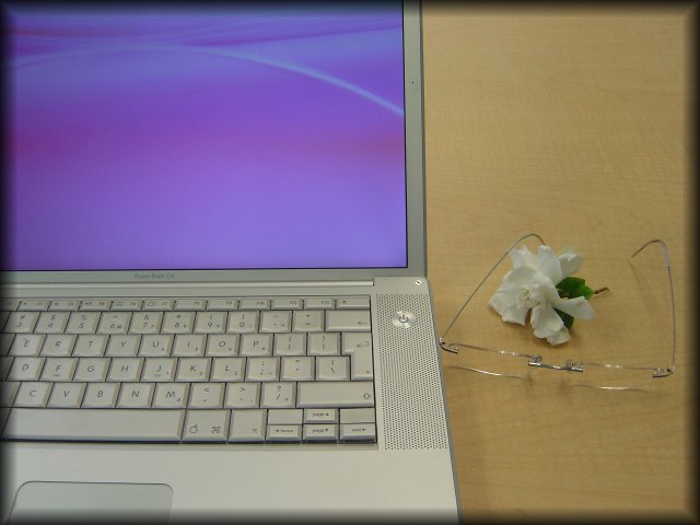 Precious, a gardenia flower, my reading glasses