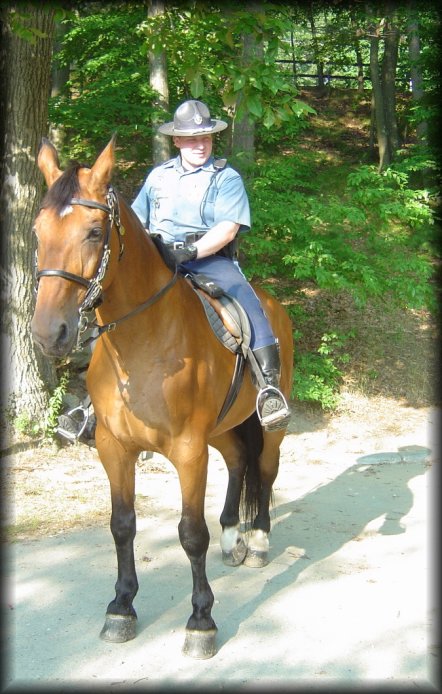 Horse mounted guard at Walden Pond, MA
