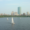 Sailing boats on the Charles River