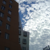 The Stata Center