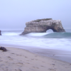 Natural Bridges State Beach, Santa Cruz, CA
