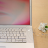 Precious, a gardenia flower, my reading glasses
