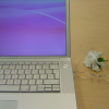 Precious, a gardenia flower, my reading glasses