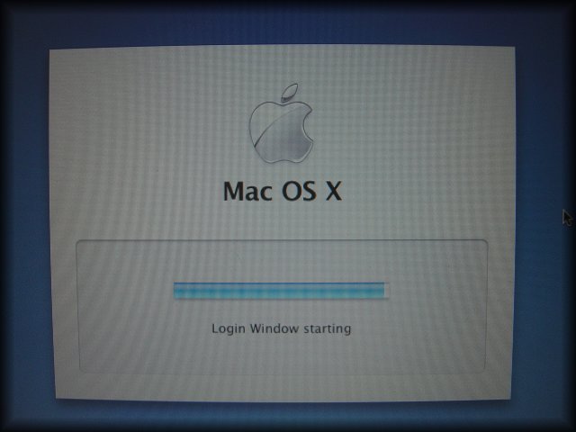 Precious is stuck at the Login Window starting...