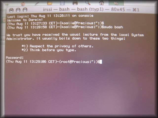 Precious happy after reinstallation. First thing I did was sudo bash to check that I was no longer greeted by "Bus Error"