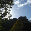 Edinburgh Castle above trees in Princes Street Gardens
