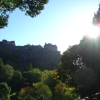 Edinburgh Castle between trees in Princes Street Gardens
